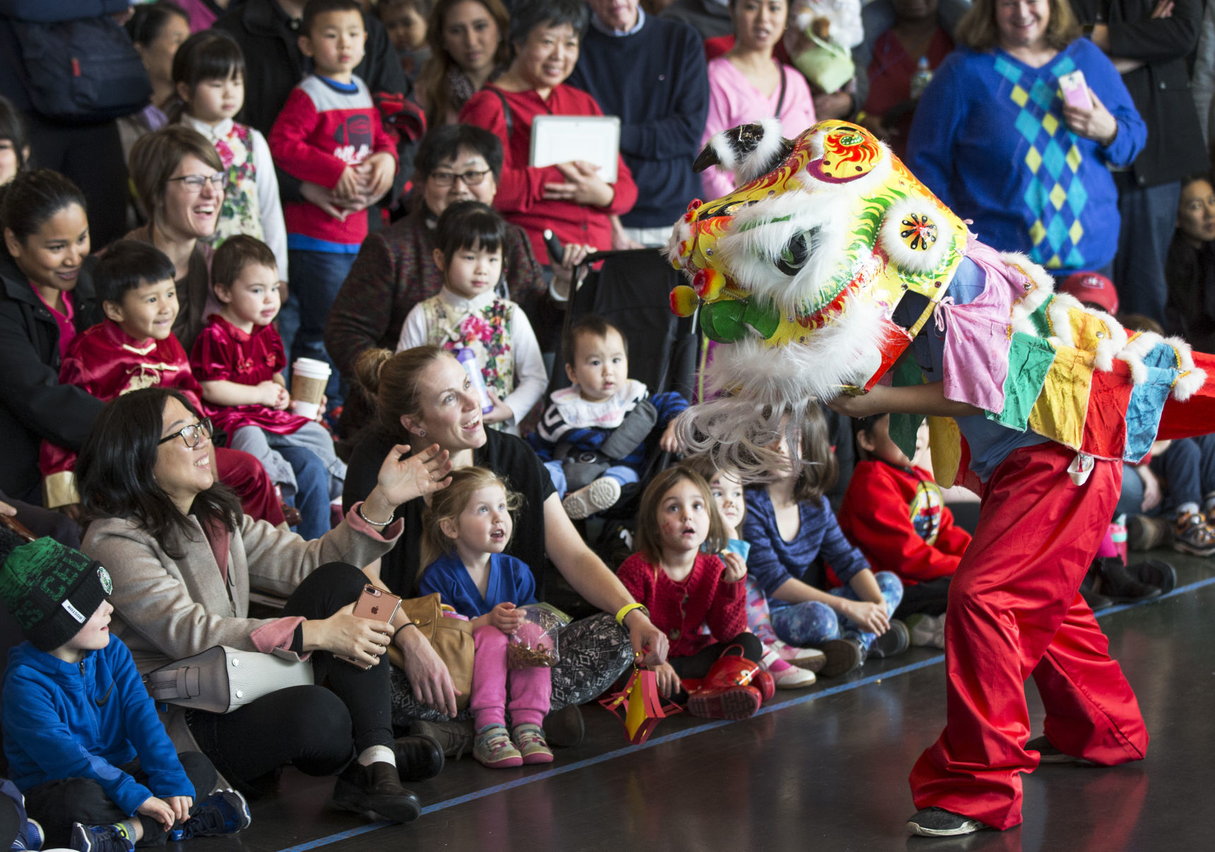 Chinese Lunar New Year Celebration
